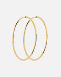 Maria Black Øreringer Senorita 50 Hoops  - Gold HP