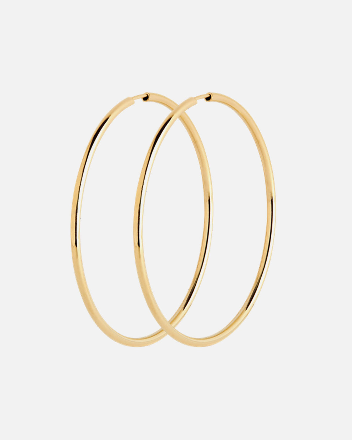 Maria Black Øreringer Senorita 50 Hoops  - Gold HP