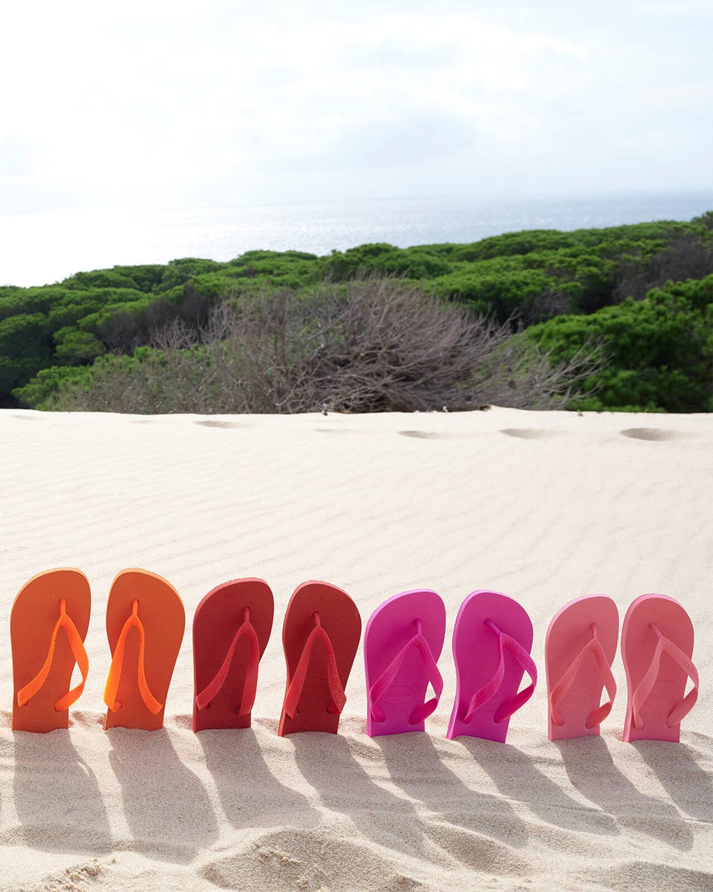 Havaianas Flip Flop Hav. Top - Pink Flux