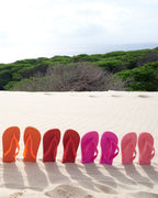 Havaianas Flip Flop Hav. Top - Pink Flux