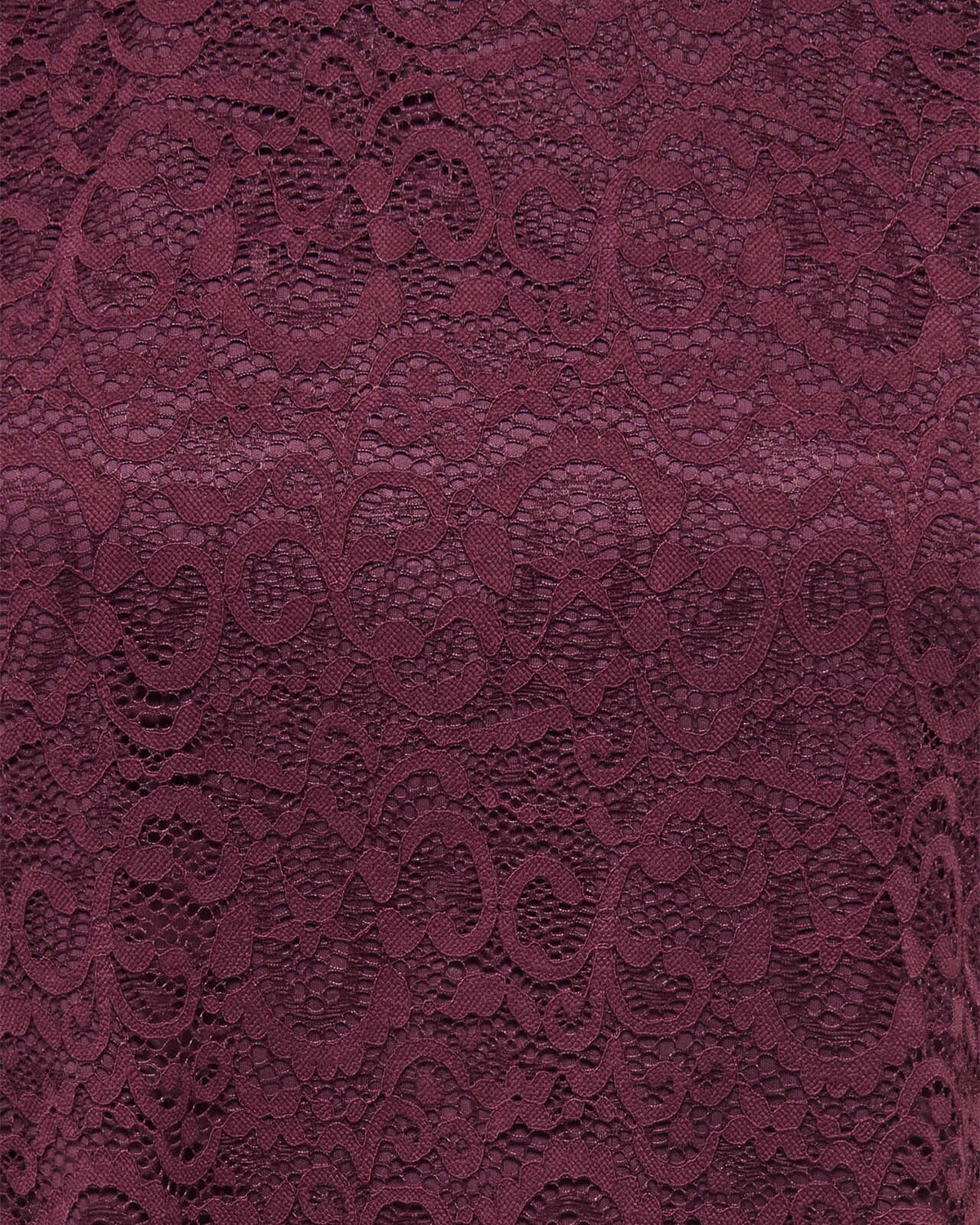 JDY Blondetopp Lotas S/L Lace - Windsor Wine