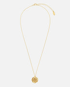 Orelia Kjede Zodiac Aquarius/ Vannmannen - Gold