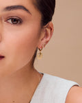 ORELIA Øreringer Shell Pavè Huggie Hoops - Gold