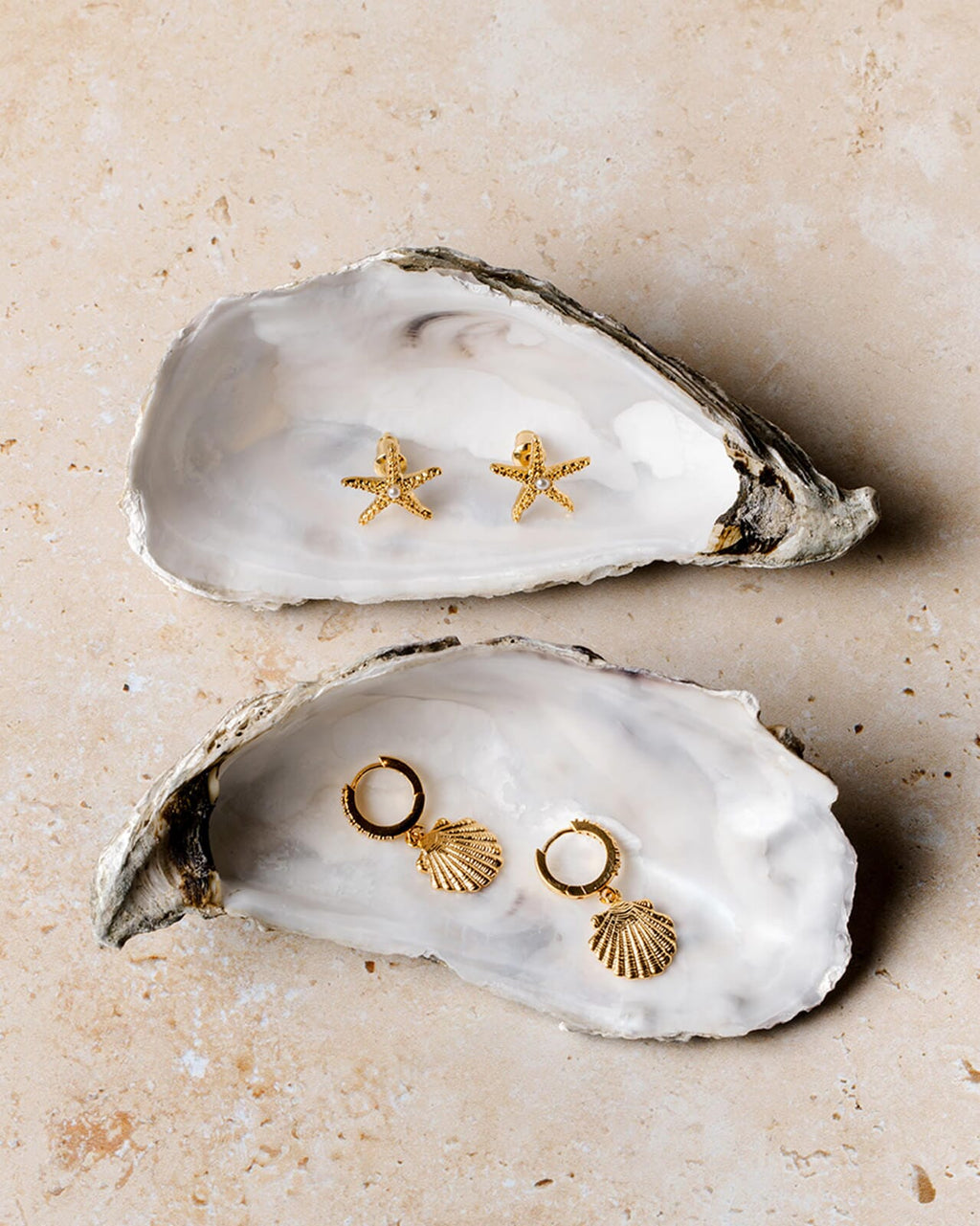 ORELIA Øreringer Shell Pavè Huggie Hoops - Gold