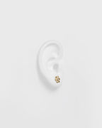 PIECES Øredobber Jina Earstuds 6pack Bundle - Gold Colour St1