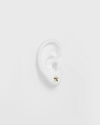 PIECES Øredobber Jina Earstuds 6pack Bundle - Gold Colour St1