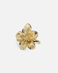 PIECES Ring Patricia M - Gold Colour